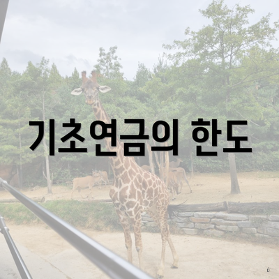 기초연금의 한도