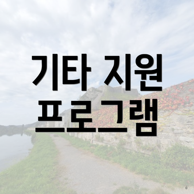 기타 지원 프로그램