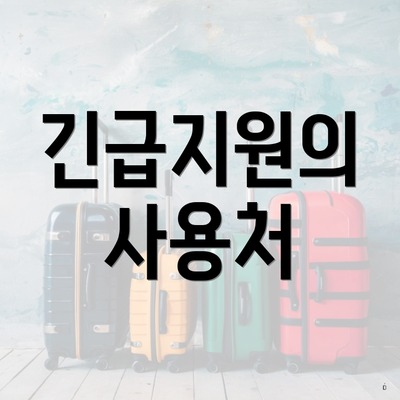 긴급지원의 사용처