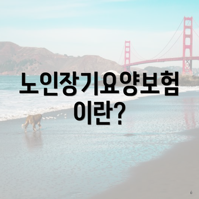 노인장기요양보험이란?