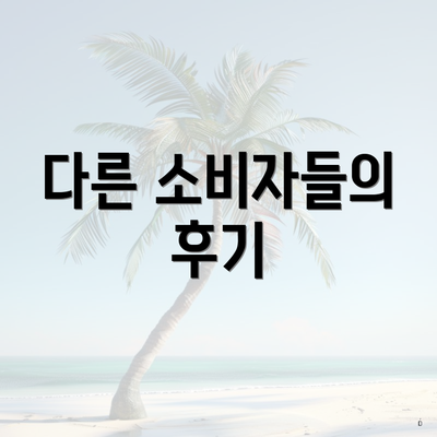 다른 소비자들의 후기