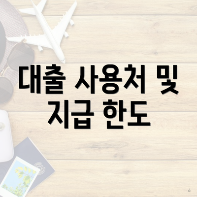 대출 사용처 및 지급 한도