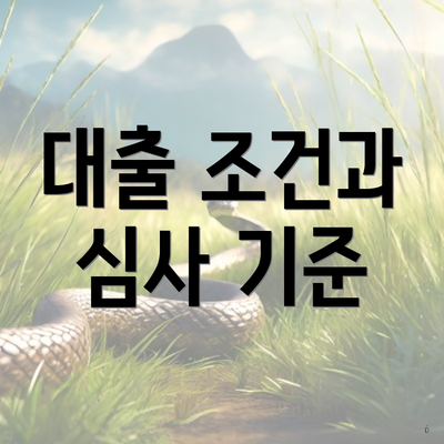 대출 조건과 심사 기준