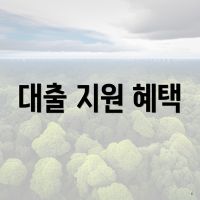 대출 지원 혜택