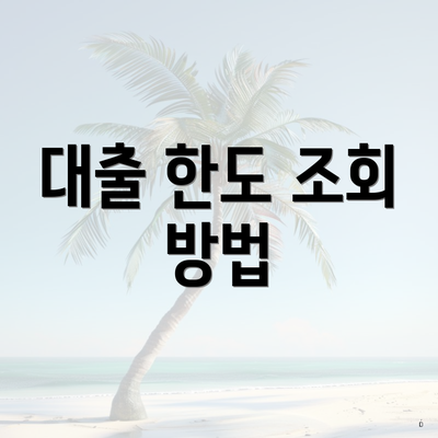 대출 한도 조회 방법