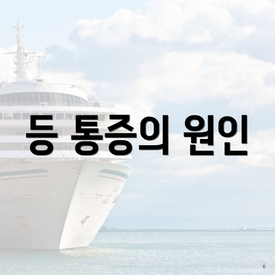 등 통증의 원인