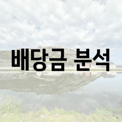 배당금 분석