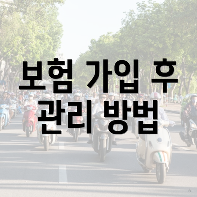 보험 가입 후 관리 방법