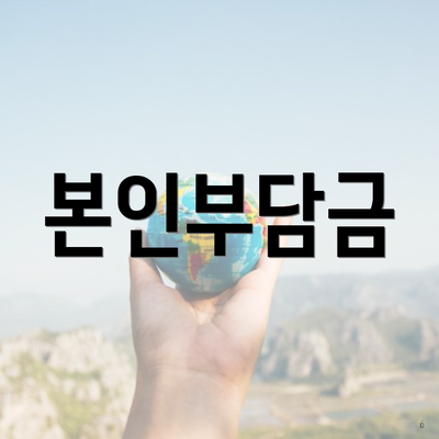 본인부담금