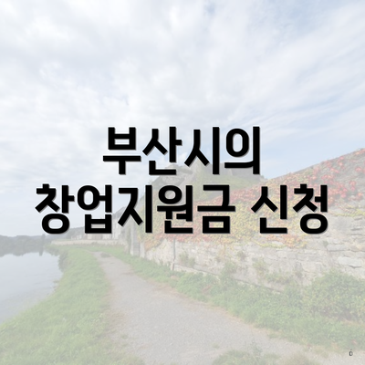 부산시의 창업지원금 신청