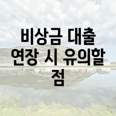 비상금 대출 연장 시 유의할 점