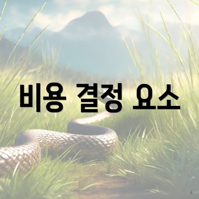 비용 결정 요소