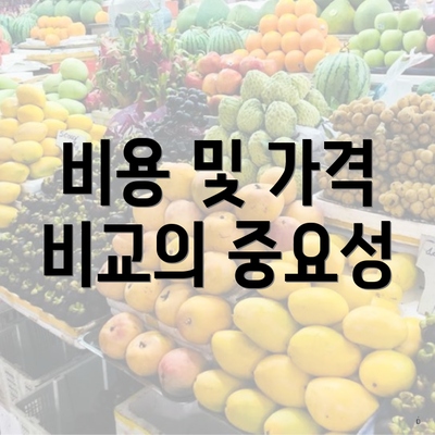 비용 및 가격 비교의 중요성