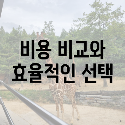 비용 비교와 효율적인 선택