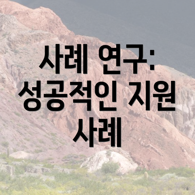 사례 연구: 성공적인 지원 사례
