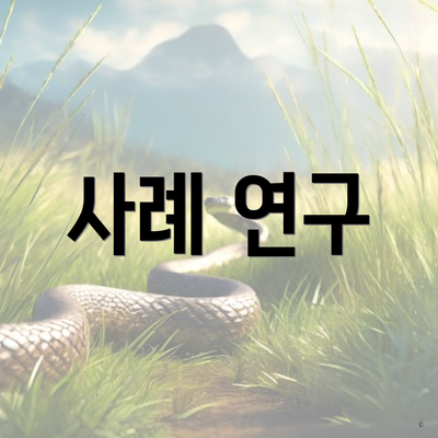 사례 연구