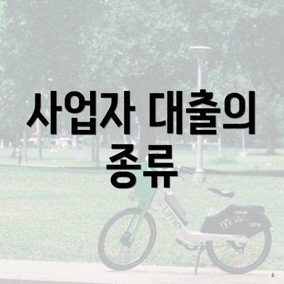 사업자 대출의 종류