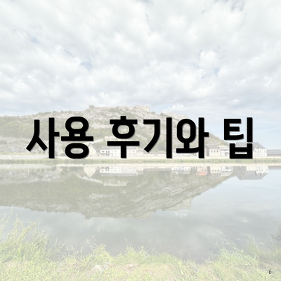 사용 후기와 팁