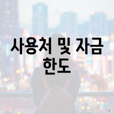 사용처 및 자금 한도