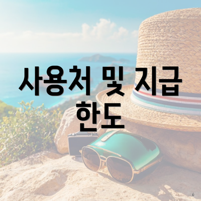 사용처 및 지급 한도