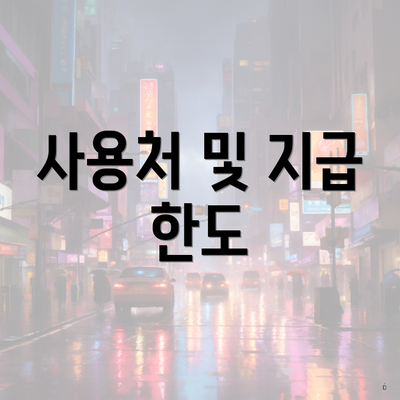사용처 및 지급 한도