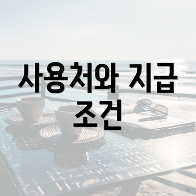 사용처와 지급 조건