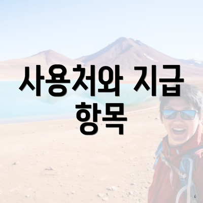 사용처와 지급 항목