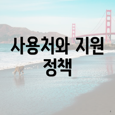 사용처와 지원 정책