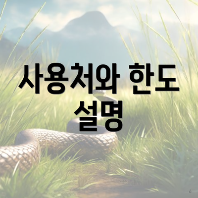 사용처와 한도 설명