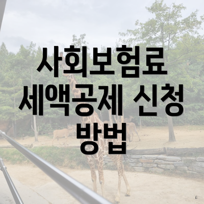 사회보험료 세액공제 신청 방법