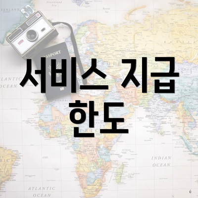 서비스 지급 한도