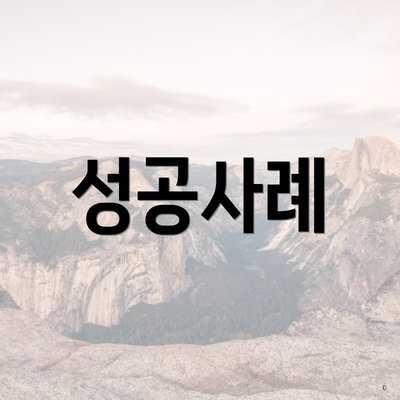 성공사례