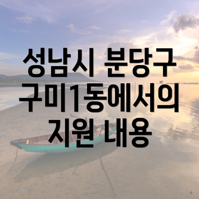성남시 분당구 구미1동에서의 지원 내용