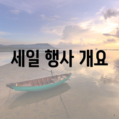 세일 행사 개요
