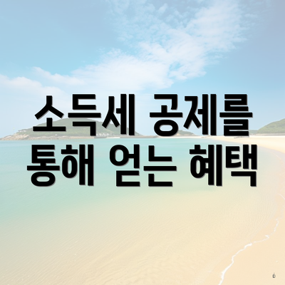 소득세 공제를 통해 얻는 혜택