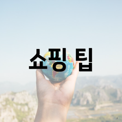 쇼핑 팁