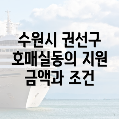 수원시 권선구 호매실동의 지원 금액과 조건