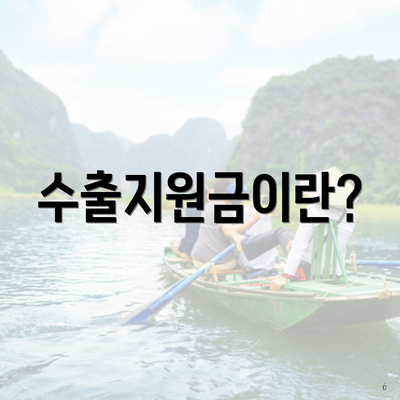 수출지원금이란?