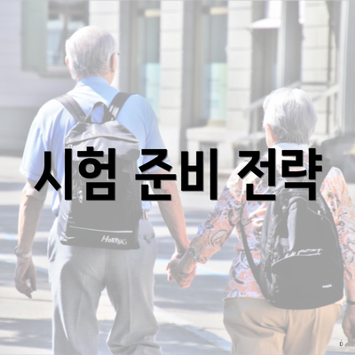 시험 준비 전략