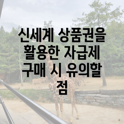 신세계 상품권을 활용한 자급제 구매 시 유의할 점