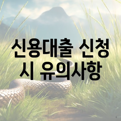 신용대출 신청 시 유의사항
