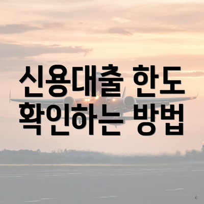 신용대출 한도 확인하는 방법