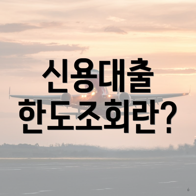 신용대출 한도조회란?
