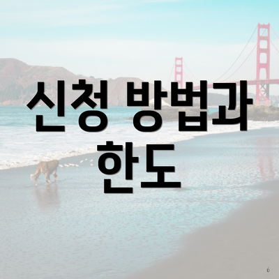 신청 방법과 한도