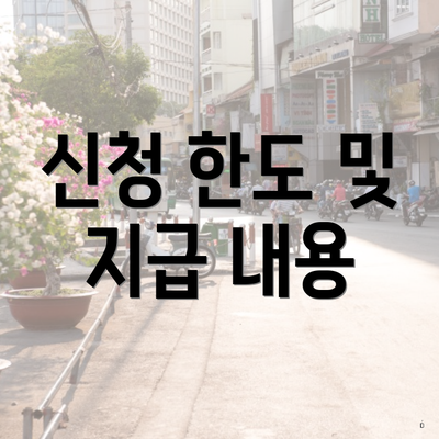 신청 한도 및 지급 내용