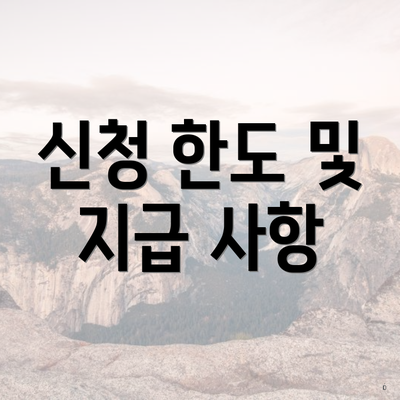 신청 한도 및 지급 사항