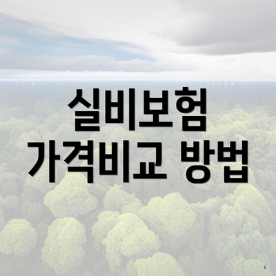 실비보험 가격비교 방법