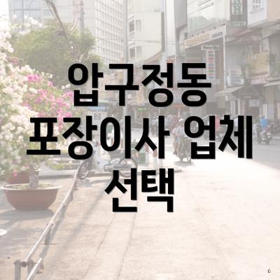 압구정동 포장이사 업체 선택