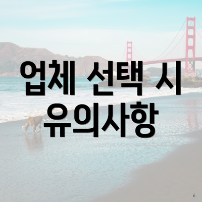 업체 선택 시 유의사항
