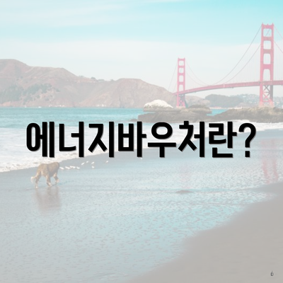 에너지바우처란?